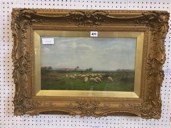 Oil, sheep grazing W. Luker